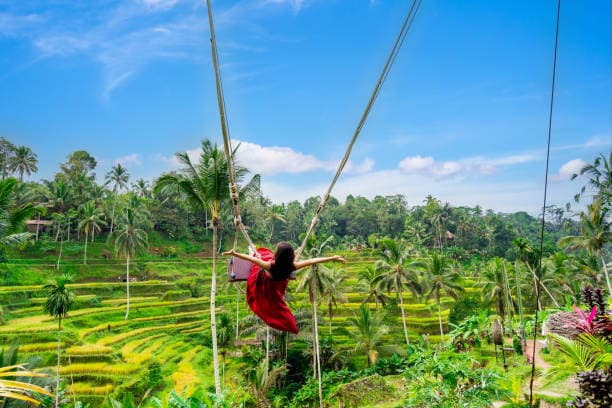 Ubud and Jungle Swing Tour